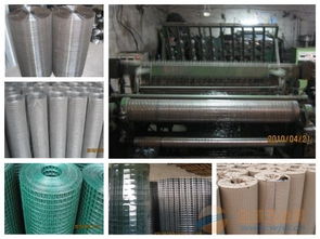 電鍍 熱鍍電焊網(wǎng)