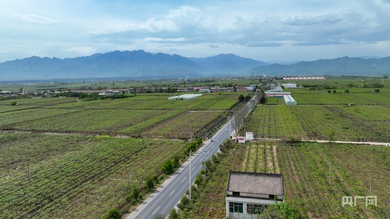 鄉路上，感受脈動中國——美麗鄉路服務提質，地標鮮果助力振興