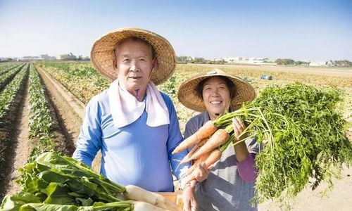 退休金4200的我，在農村嫂子家看到的另一種富足